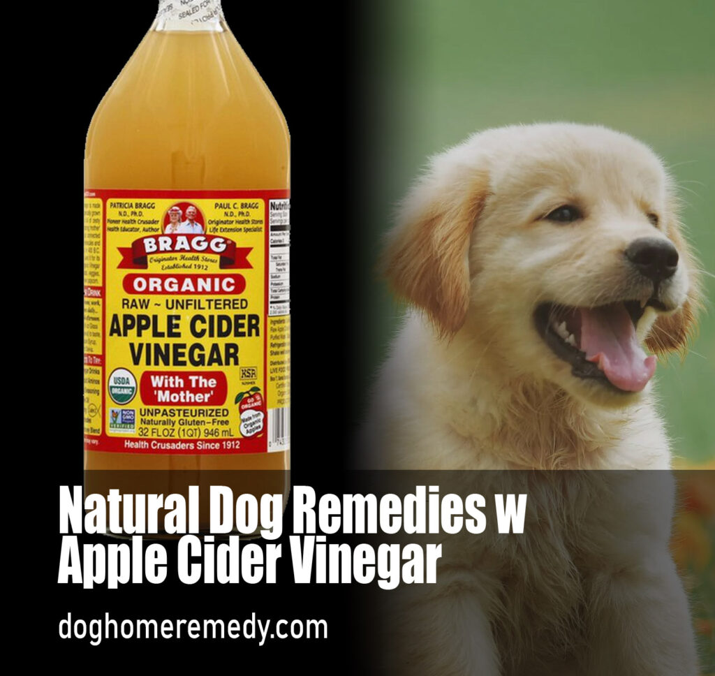 home remedies for laryngitis in dogs