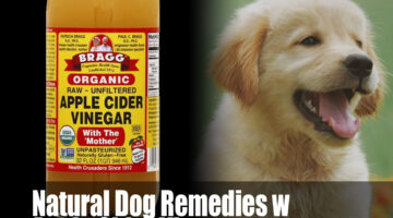 dog natural remedies w Apple Cider vinegar